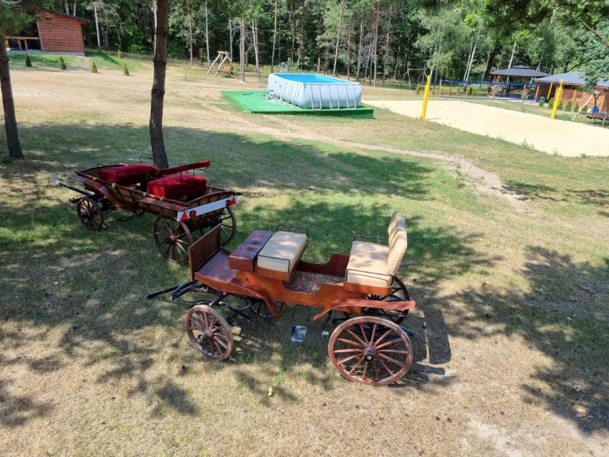 Domki Wrzosowe Wzgorza Nr2 Horyniec ภายนอก รูปภาพ