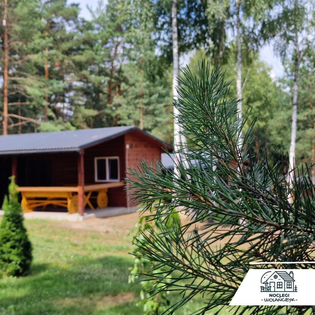 Domki Wrzosowe Wzgorza Nr2 Horyniec ภายนอก รูปภาพ