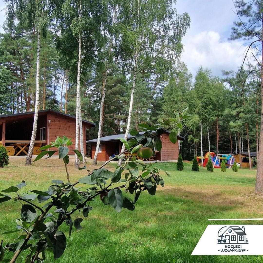 Domki Wrzosowe Wzgorza Nr2 Horyniec ภายนอก รูปภาพ