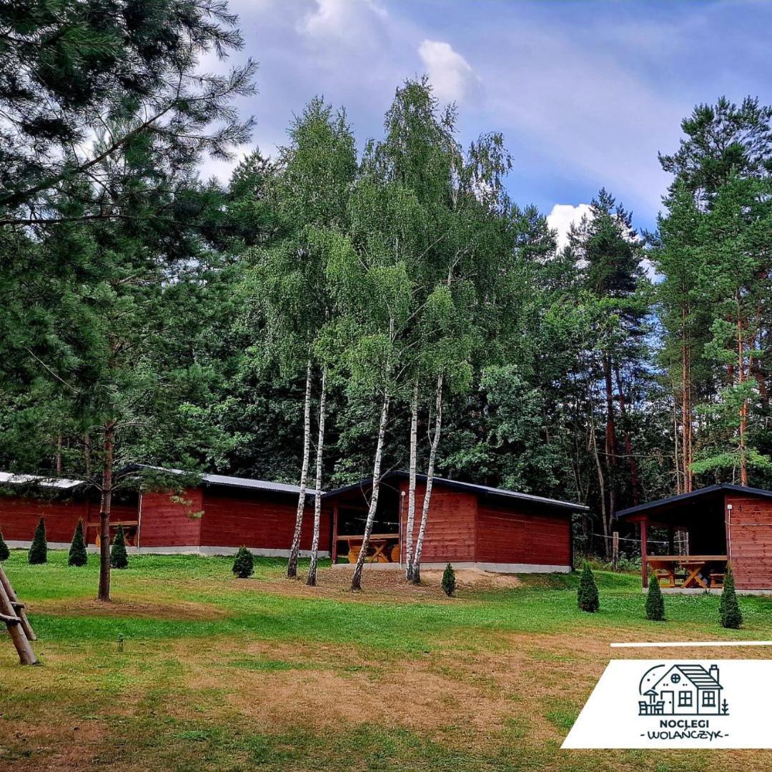 Domki Wrzosowe Wzgorza Nr2 Horyniec ภายนอก รูปภาพ